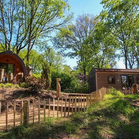 Camping Wood 4 Personen