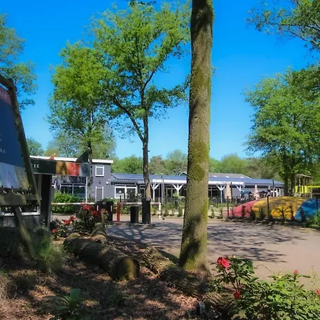 Camping Wood 4 Personen *