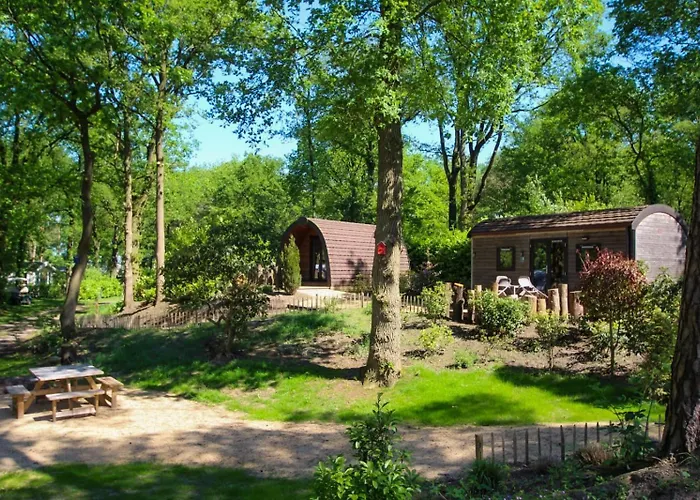 Camping Wood 4 Personen Baarle-Nassau