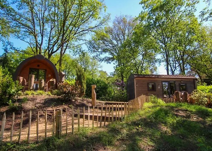 Camping Wood 4 Personen